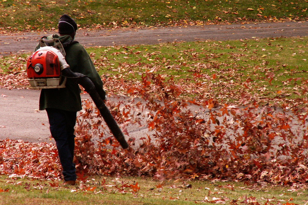 Leafblowers just blow litter down the road and harm soil microbes … it’s a crime